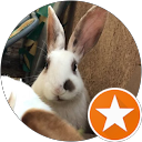 Maryam profile picture